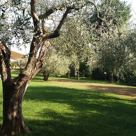 La Querciolaia
