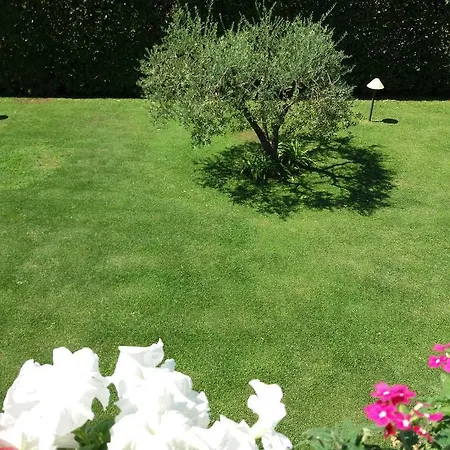 לינה וארוחת בוקר La Querciolaia